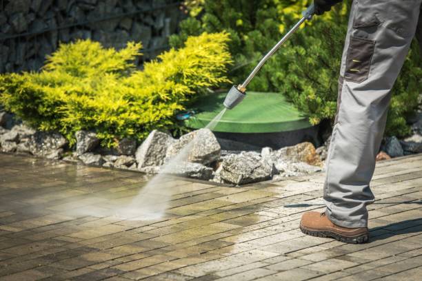 Best Winterizing Services  in Milton, LA