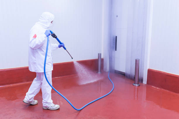 Best Patio and Deck Pressure Washing  in Milton, LA