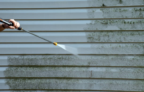 Best Building Exterior Washing  in Milton, LA